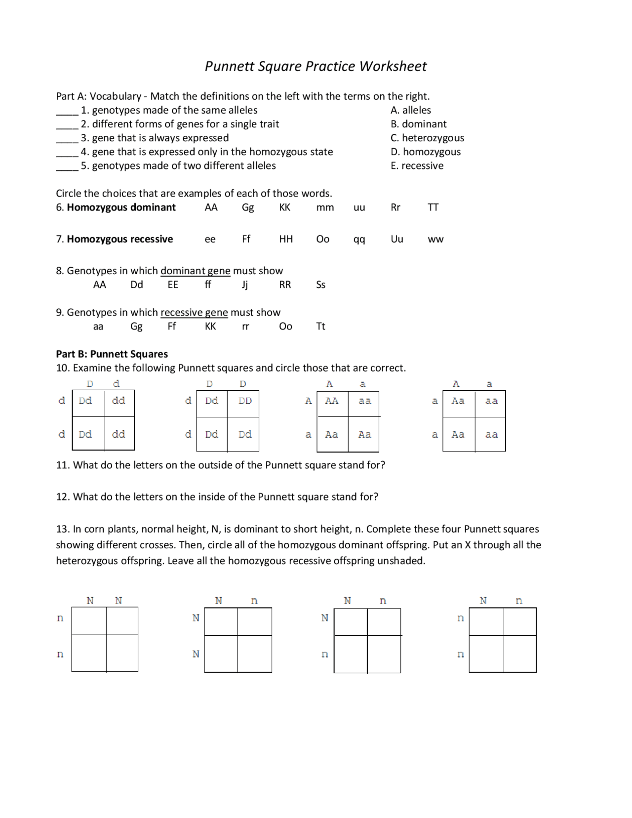 Punnett Square Practice 1 Worksheet Answers