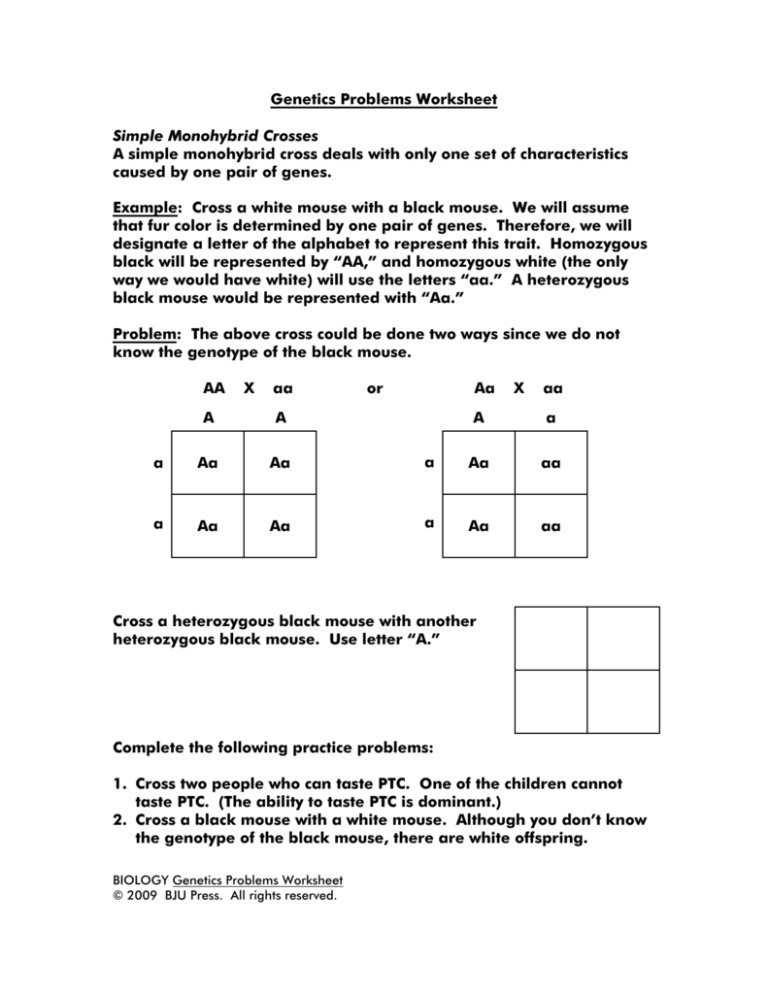 Punnett Square Practice Monohybrid Mice Ansers Monhybrid Mice