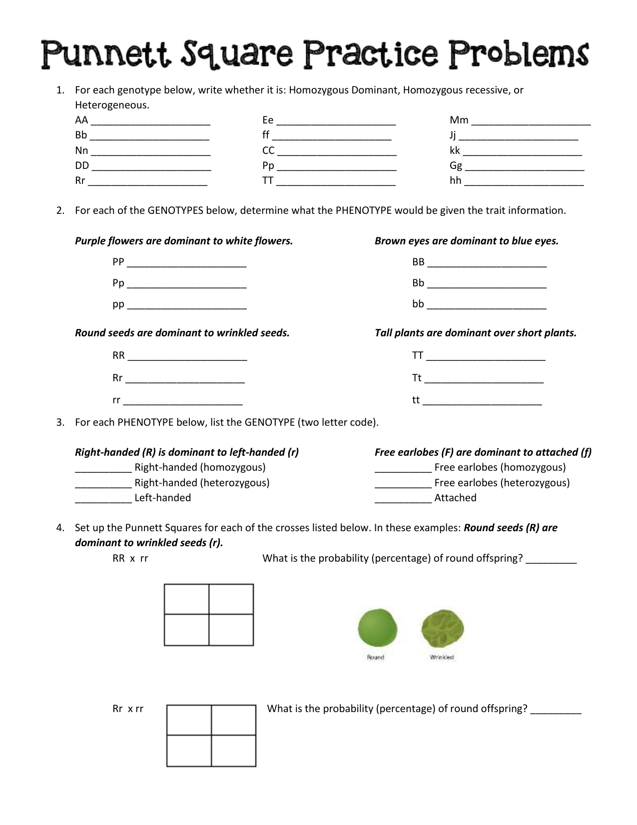 Punnett Square Practice Problems Worksheet