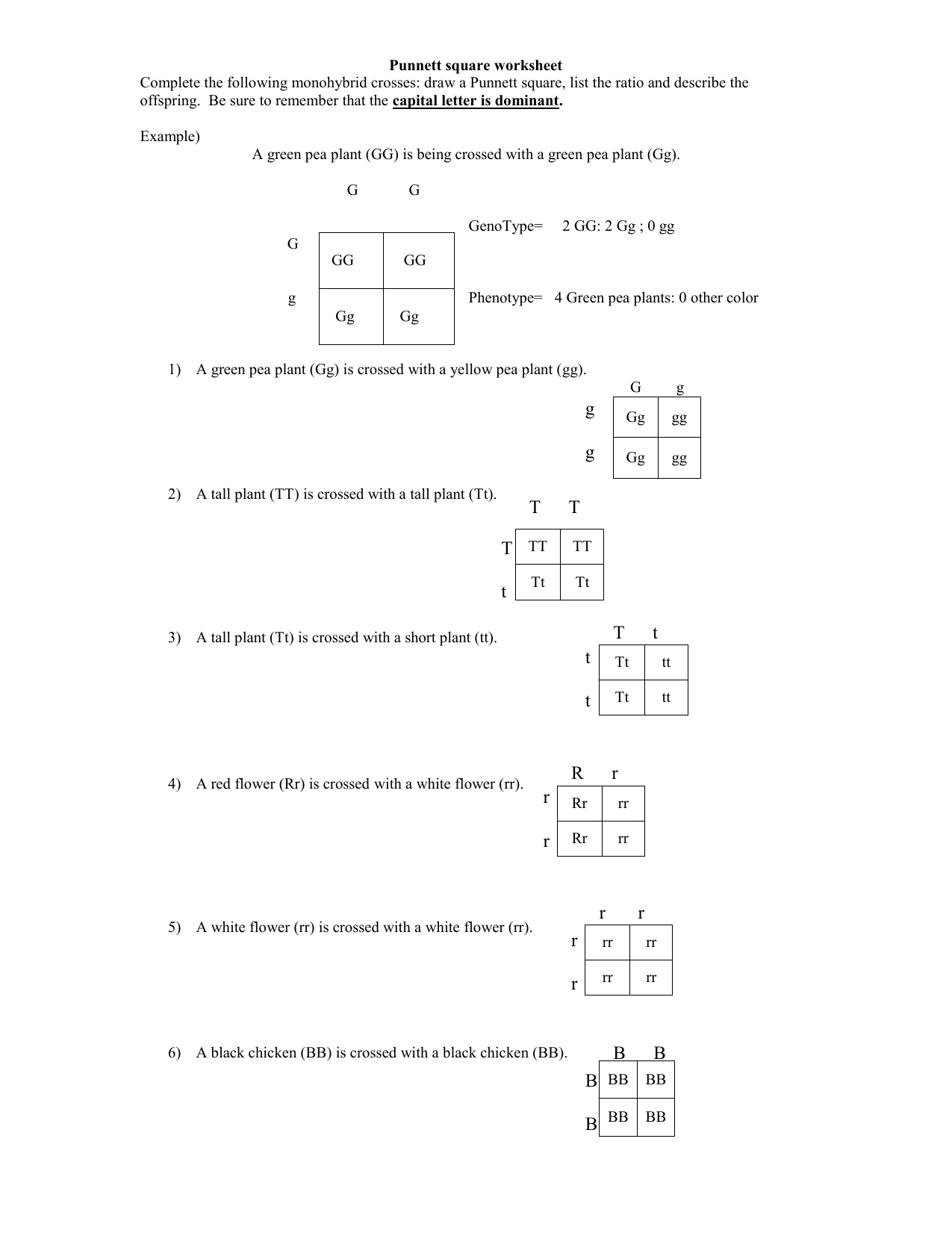 Punnett Squares Answer Key: Top 5 Tips