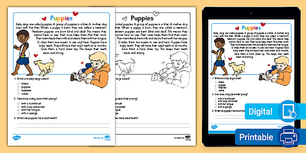 Puppy Reading Comprehension Activity For Kids Twinkl Usa