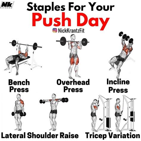 Upper Body Push Exercises