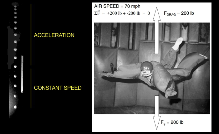 Q A Terminal Velocity Sky Lights