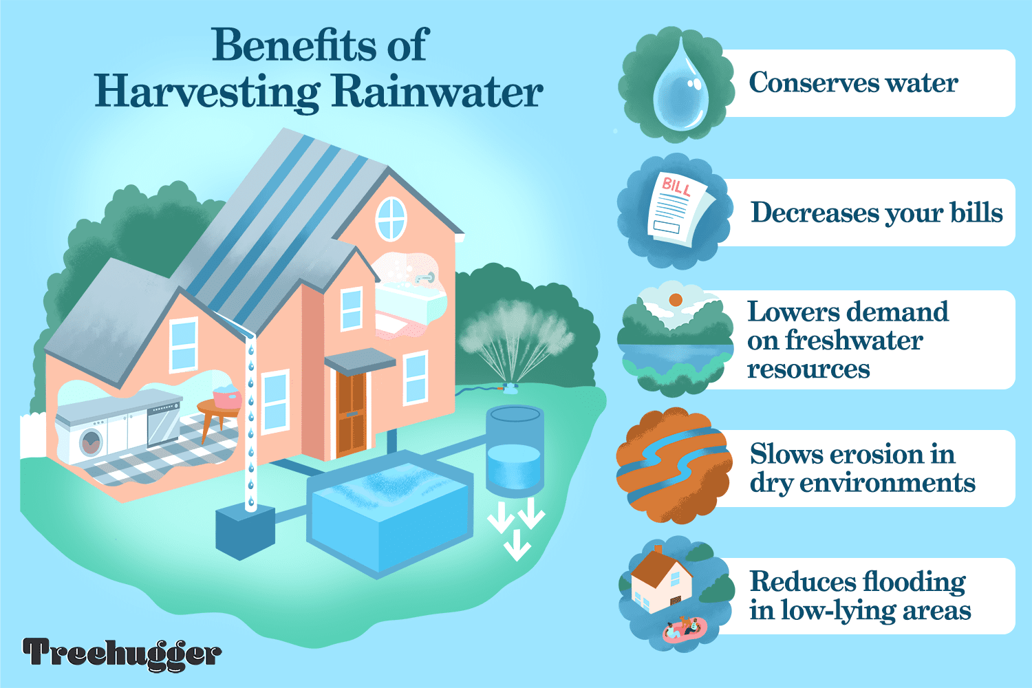 Rainwater Harvesting A Beginner S Guide