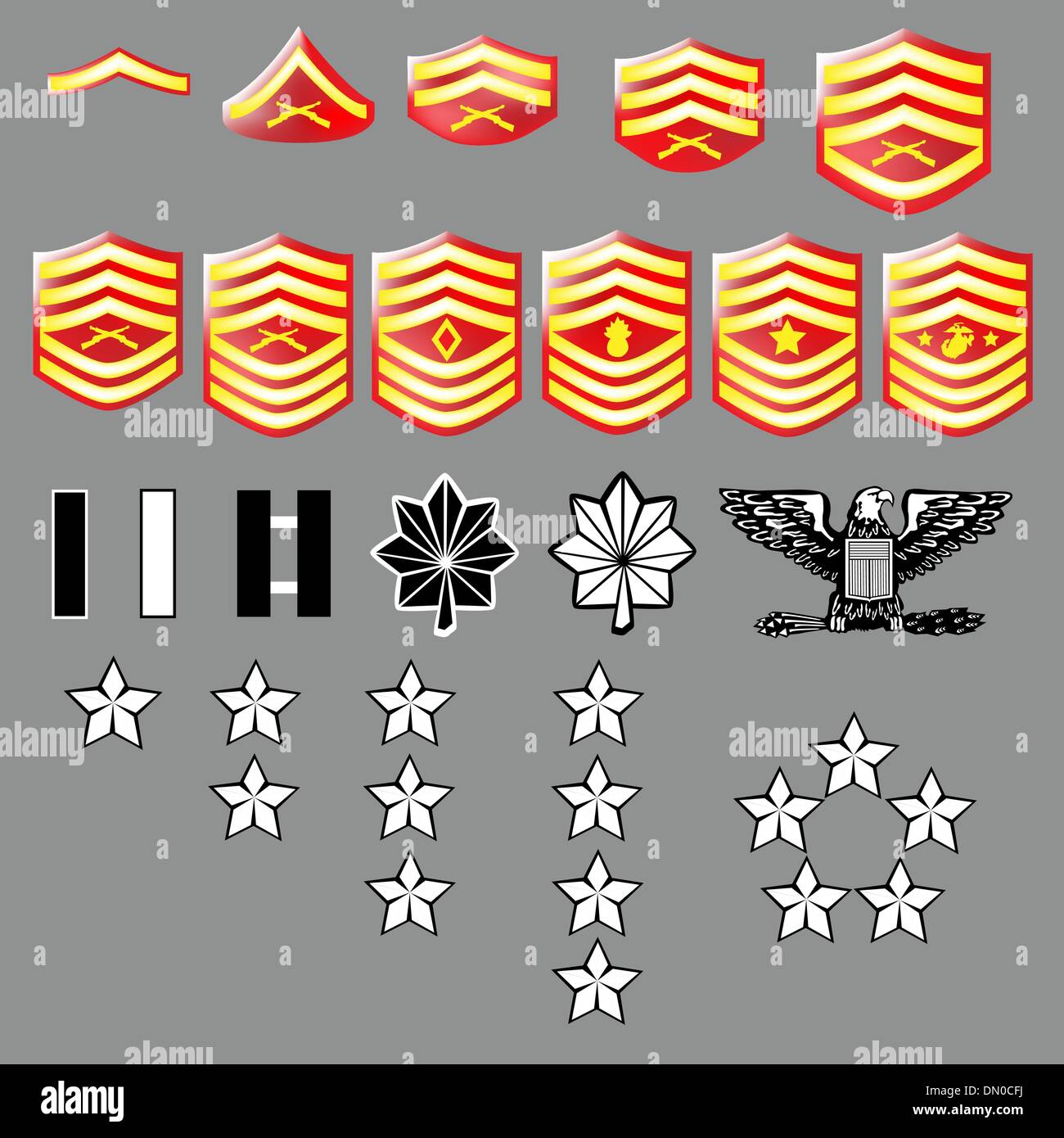 Rairingcatle Marine Corps Rank Structure