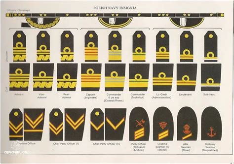 Rangos Militares Per