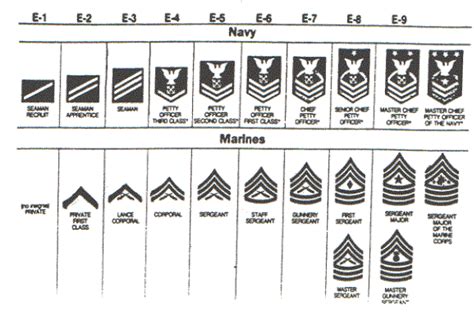 Rank And Rate Structure Of Usmc And Usn