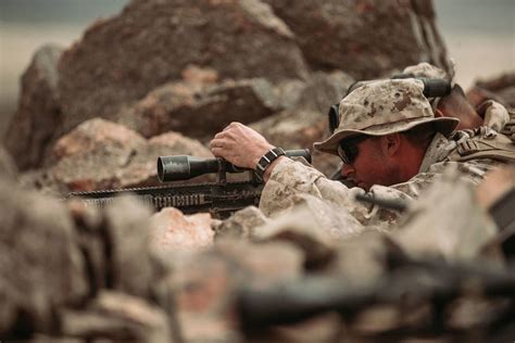 Recon Sniper vs Scout Sniper: Key Differences Explained