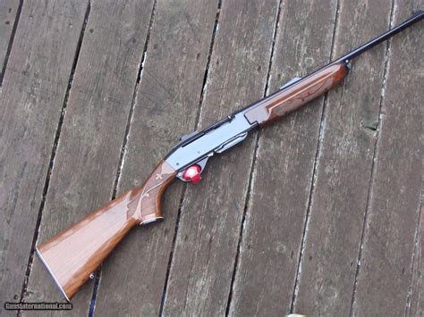 Remington Semi Auto Rifle 308