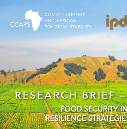 Resilience Strategies In Fragile States The Strauss Center