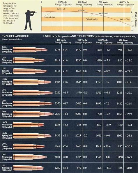 Rifle Ballistics Chart Bullet Drop