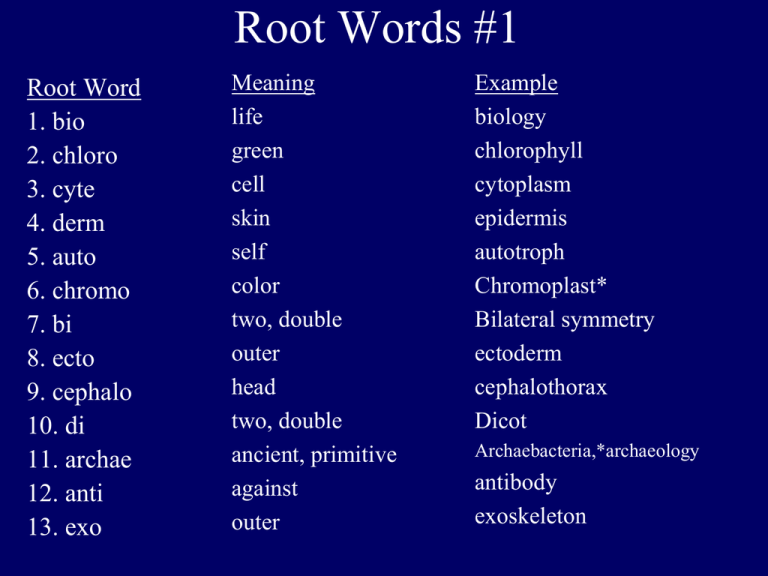 Root Words Definition Lists Amp Examples Grammarly