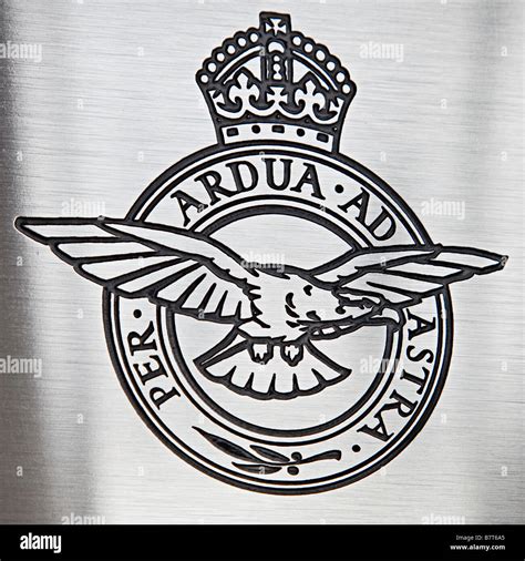 Royal Air Force Badge Motto Through Struggle To The Stars Eagle Volant Amp Affronty Head