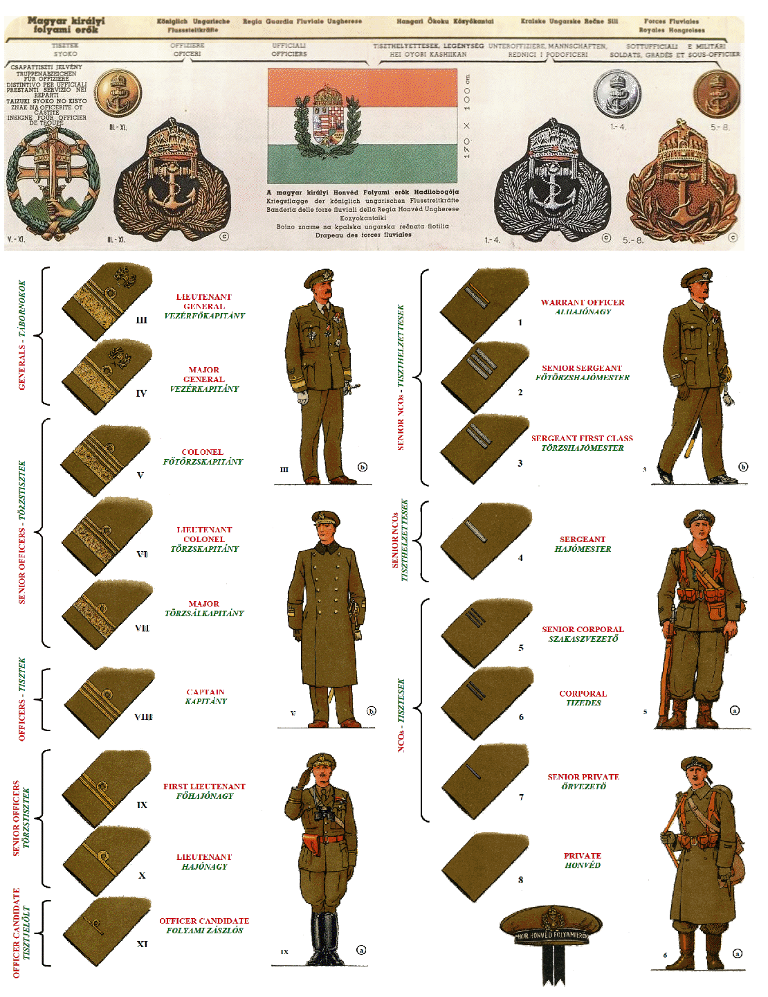 5 Royal Army Ranks