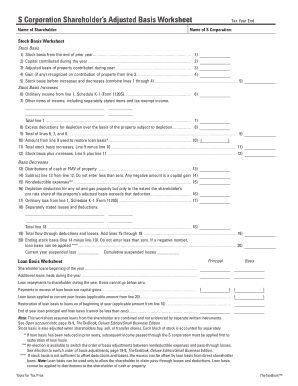 S Corp Shareholder Basis Worksheet Excel Fill Online Printable Fillable Blank Pdffiller