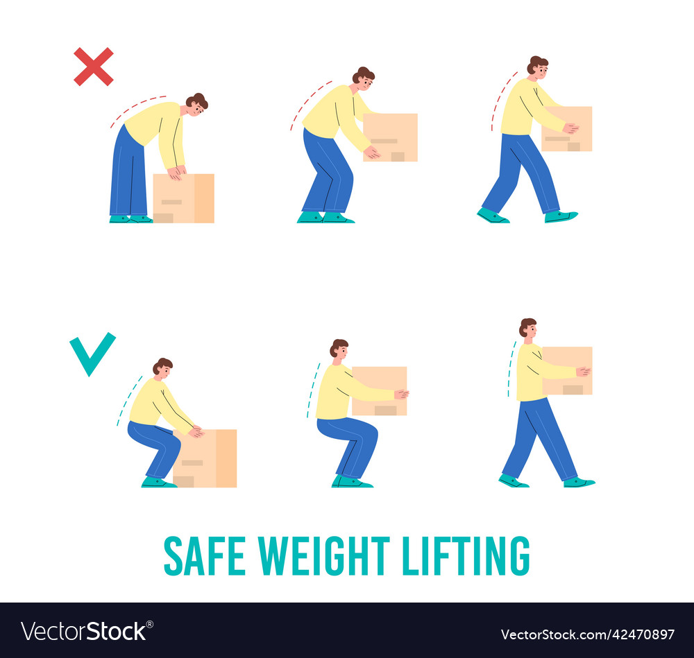 Safe Weight Lifting Manual With Correct Royalty Free Vector