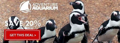 Save 10% Off Tickets To Adventure #Aquarium #Camden Https://Www.destinationcoupons.com/New ...