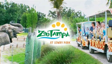 Save Over 12% On Zoo Tampa At Lowry Park Tickets