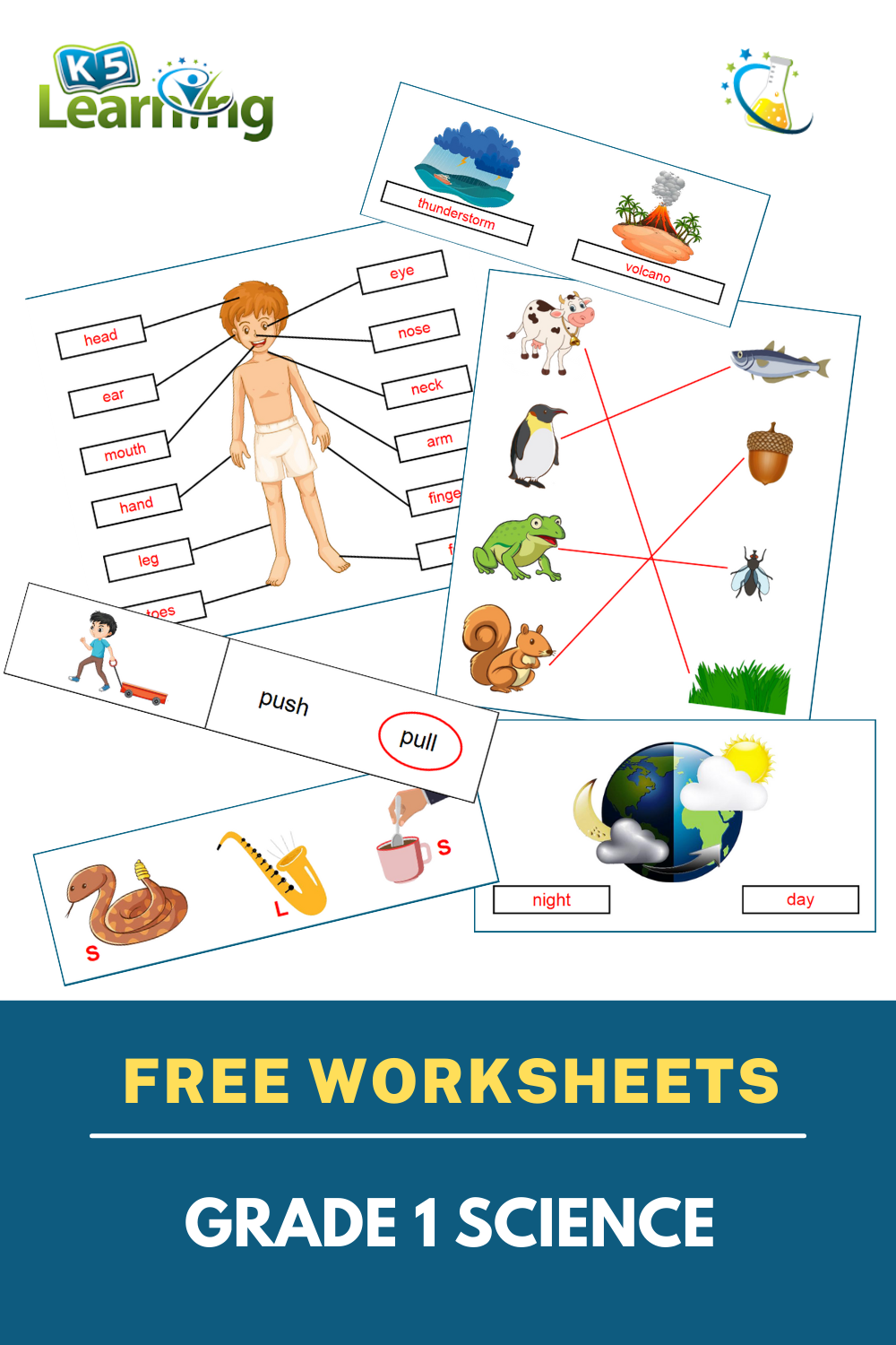 Science For Grade 1 Worksheets