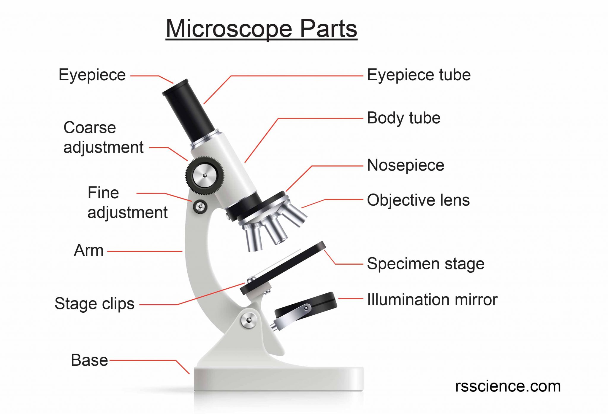 Science Microscopes Microscope Parts Scientific Method Microscope