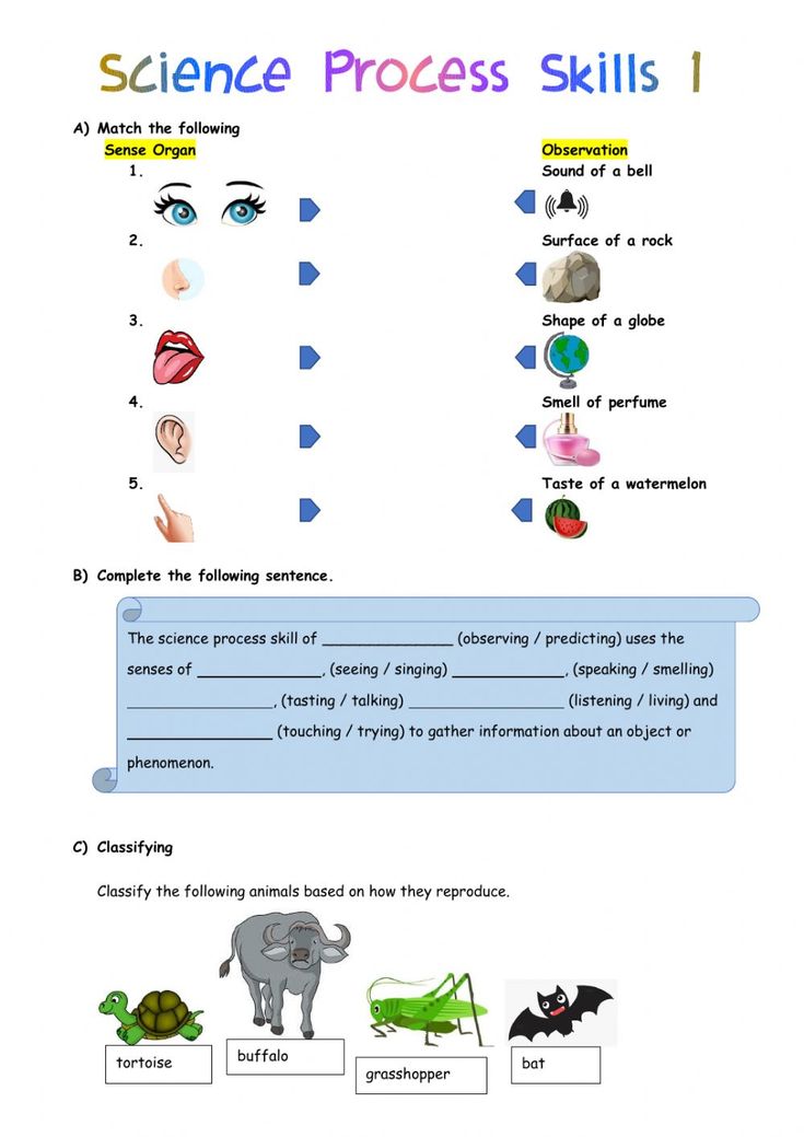 Science Process Skills Worksheet Answers Skillsworksheets Com