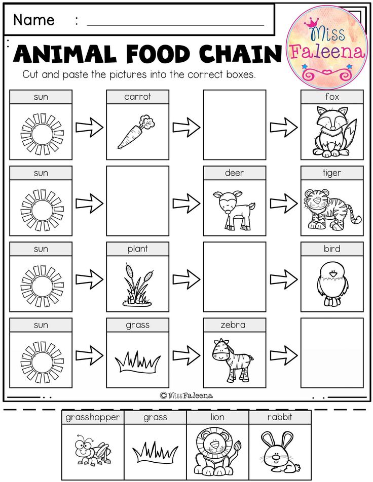 Science Worksheets For Kindergarten Free Printables Worksheets Library