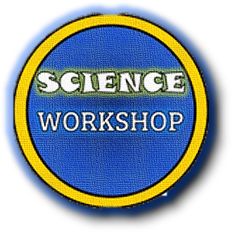 Science Worksheets Label Parts Of A Wave By Science Workshop Tpt