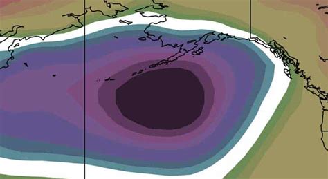 Scientists Warn That Blob Anomaly Threatens West Coast Oceans True Activist