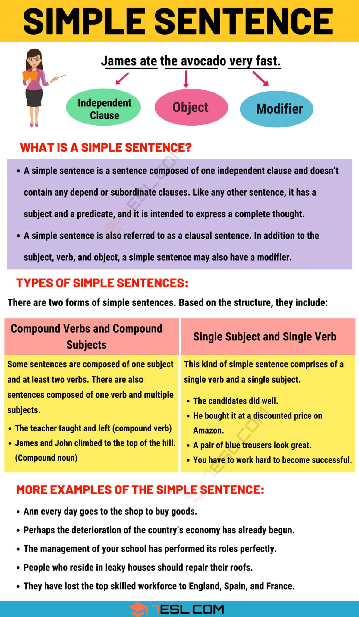 Sentences With Different Different In A Sentence In English Sentences