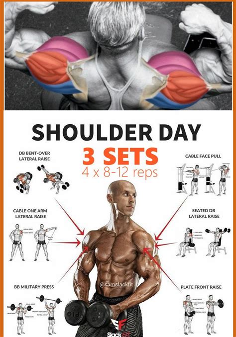 Shoulder Workout Complete Guide Shoulder Workout Best Shoulder Workout Shoulder Workout At Home