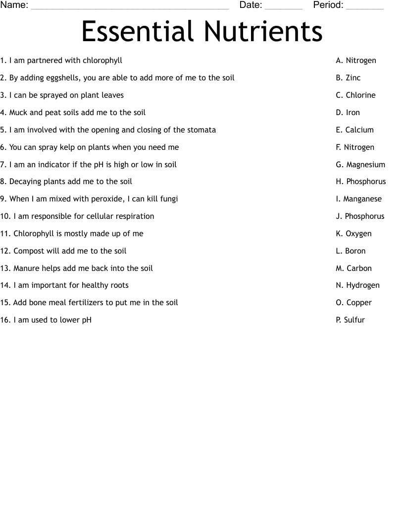 Six Essential Nutrients Worksheet Answers