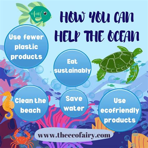 Six Ocean Friendly Habits To Help Protect Marine Life Clearwater Marine Aquarium