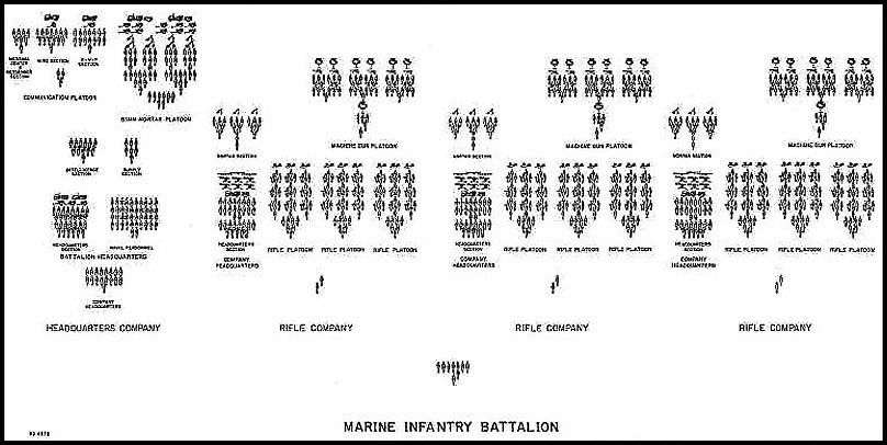 Optimal Size for a Marine Company's Success