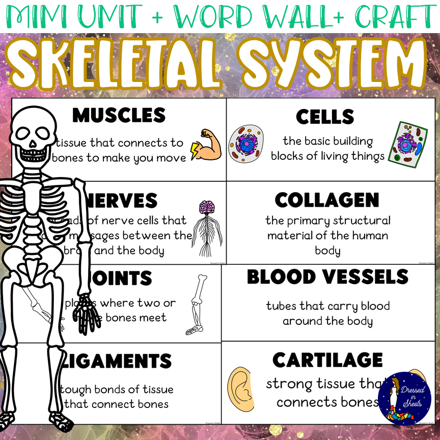 Skeletal System Unit With Word Wall And Craft Made By Teachers