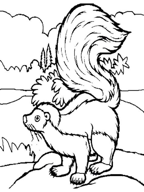 Skunk Coloring Page Skunk Is A Mammal That Has Black And White Fur It Is An Omnivorous Animal