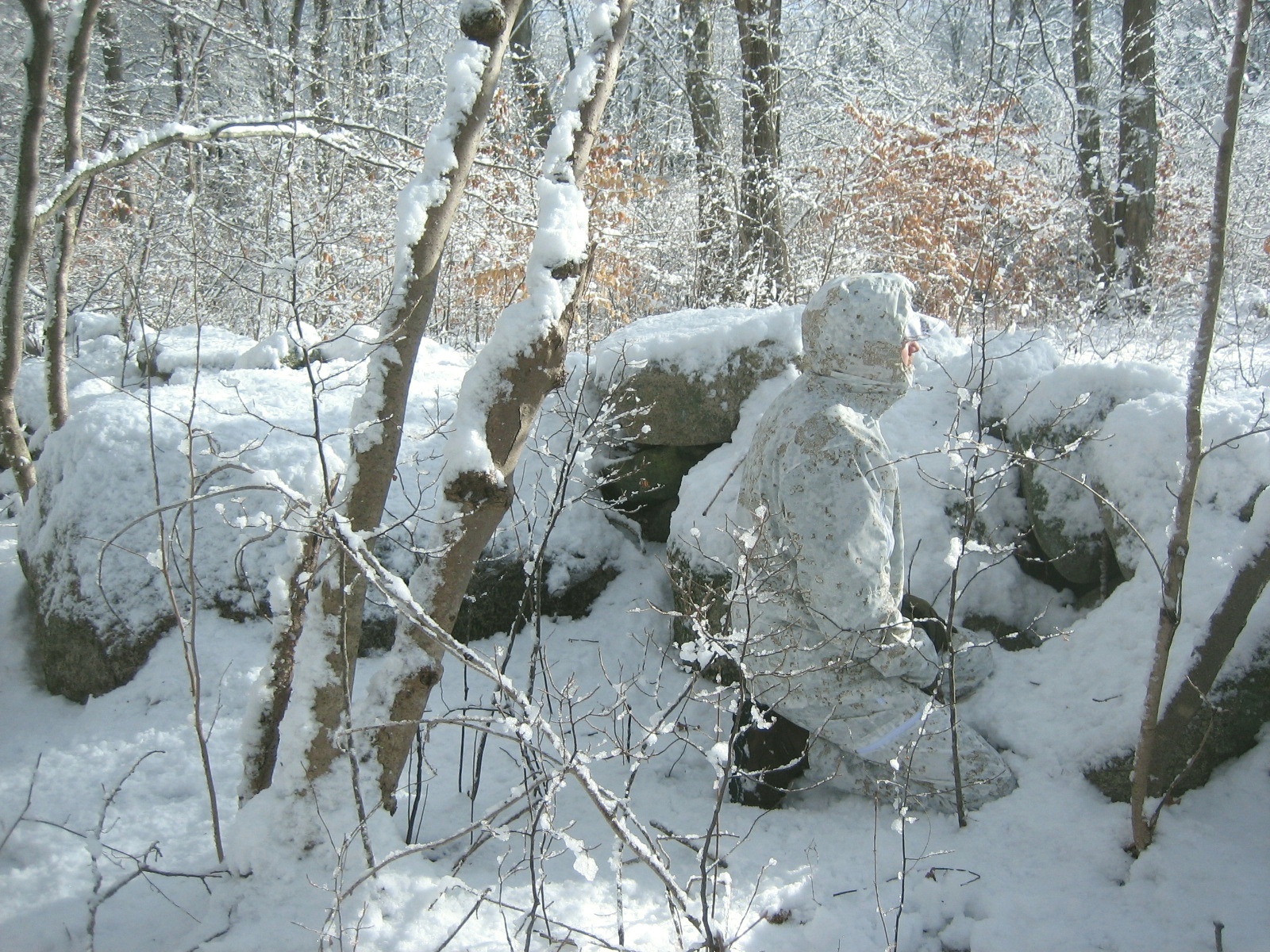 Snow Camouflage Patterns