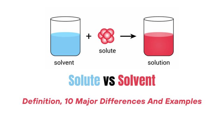 Solute And Solvent Learn Definition Facts And Examples