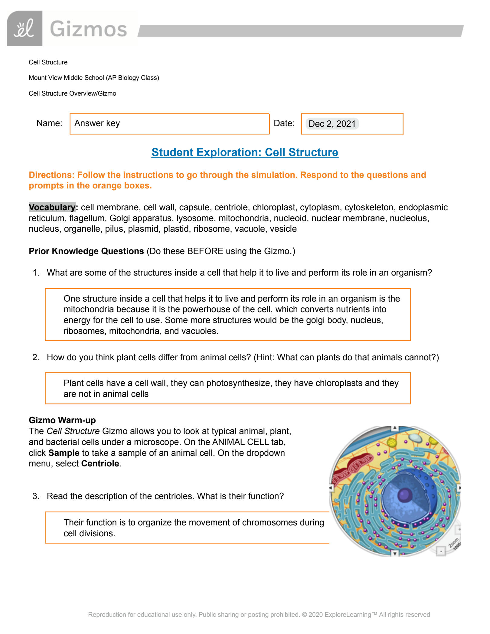 Solution 21 22 Gizmo Cell Structure Studypool