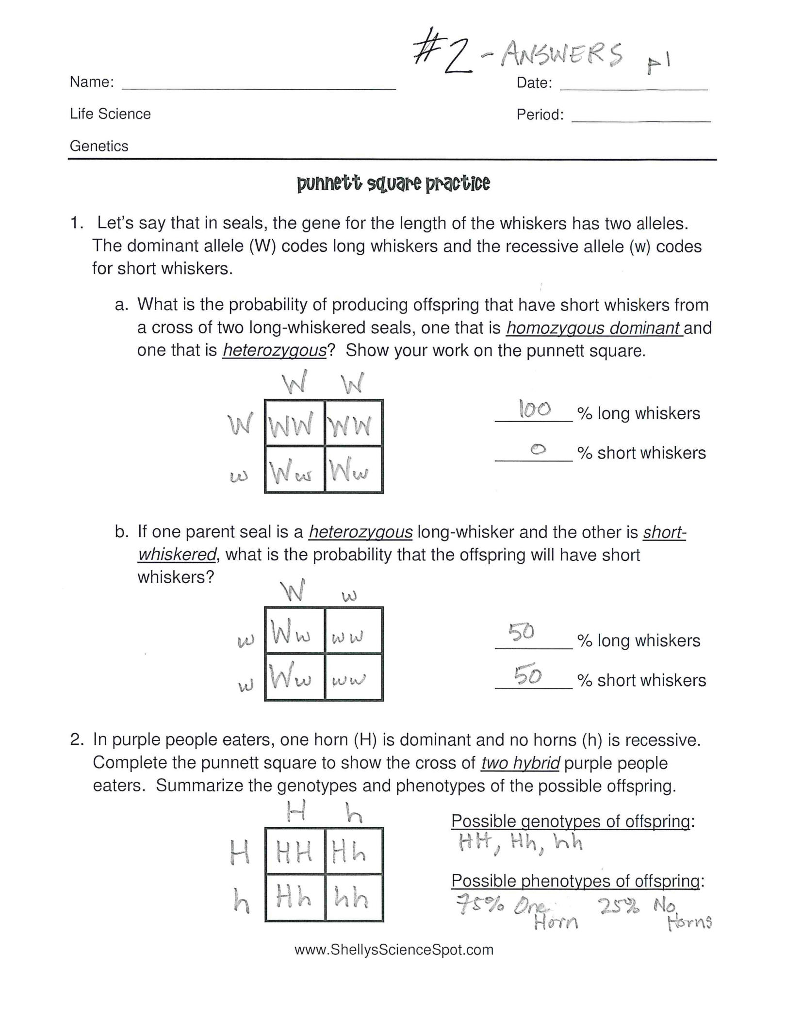 Solution Gabriel Galindo Punnett Square Practice Studypool