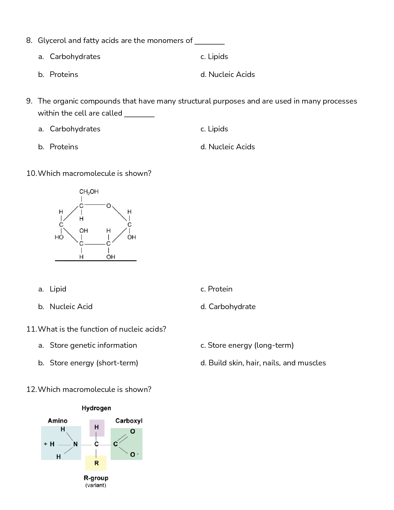 Solution Macromolecules Practice Quiz With Answers Studypool