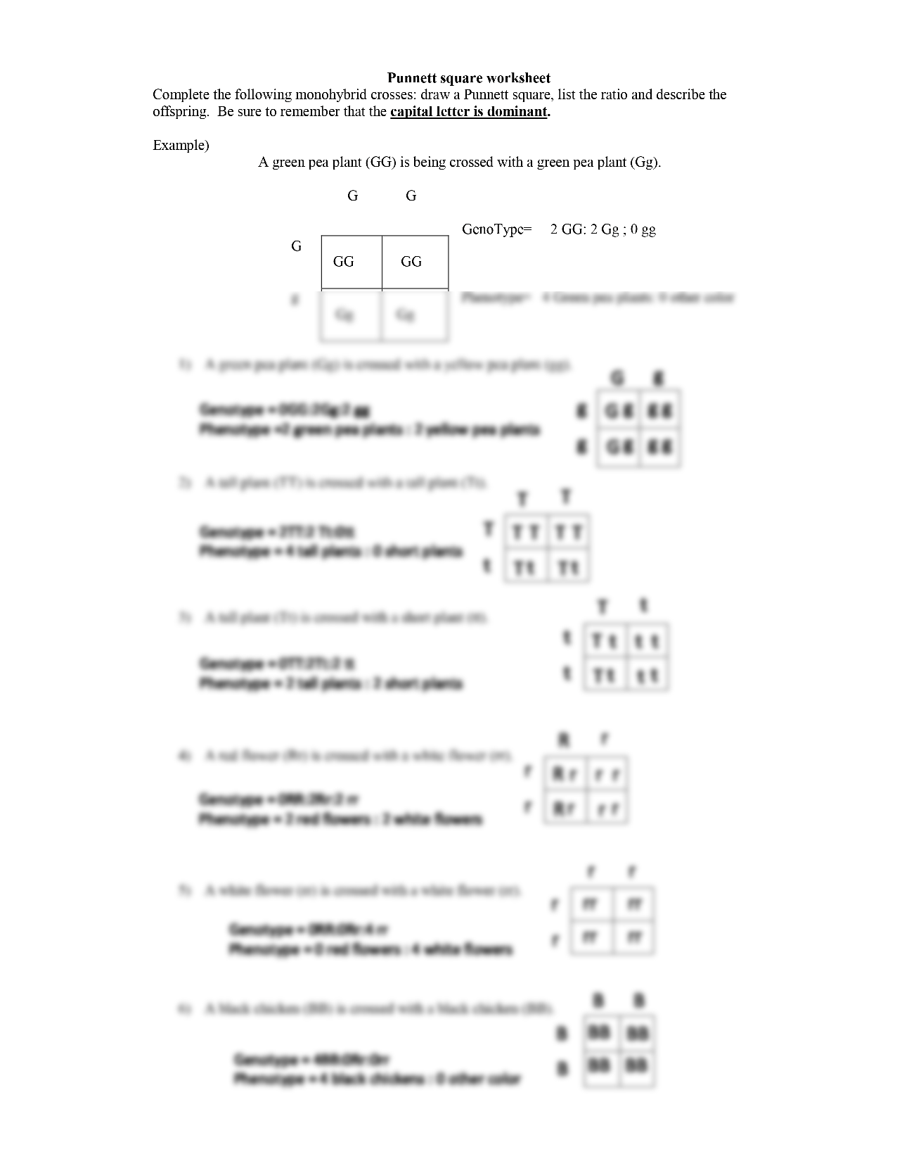 Solution Punnett Square Worksheet 1 Studypool