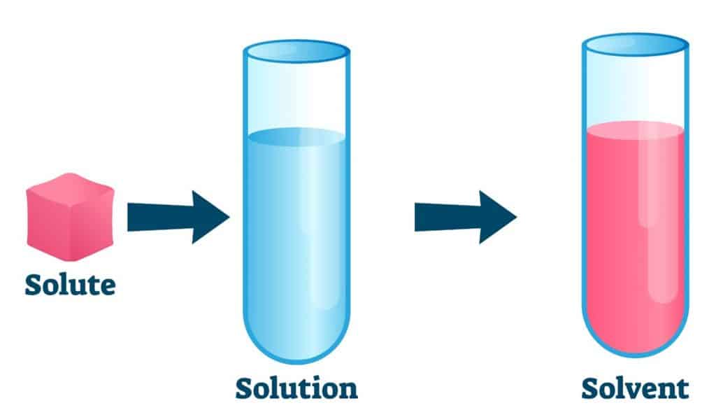 Solutions And Solubility Understanding Solutes Solvents And Course Hero