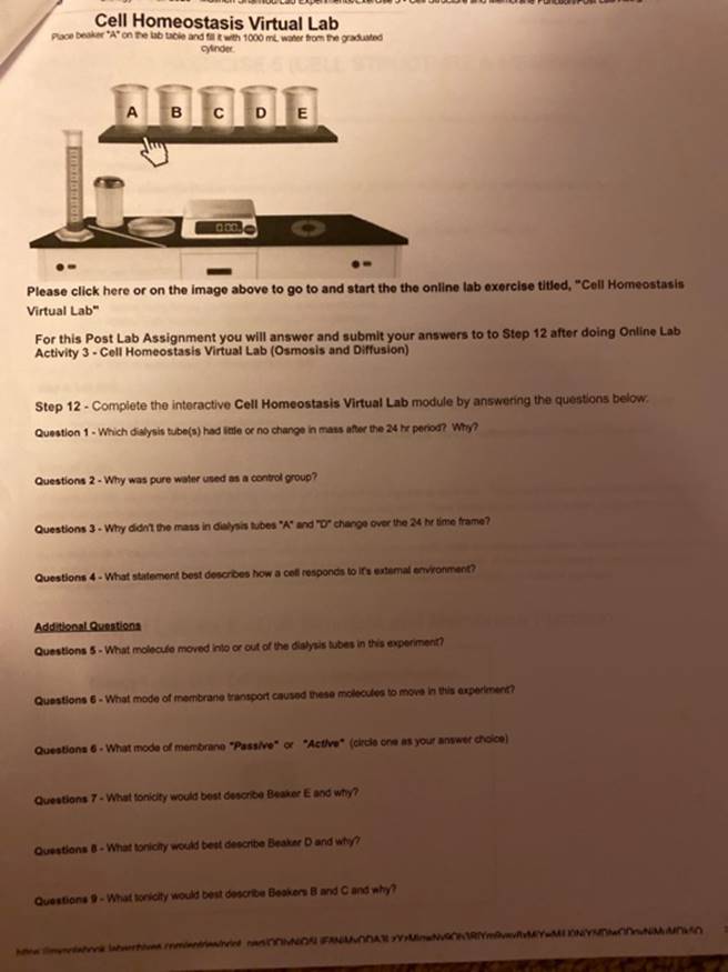 Solved Cell Homeostasis Virtual Fill Out This Table With The Chegg Com