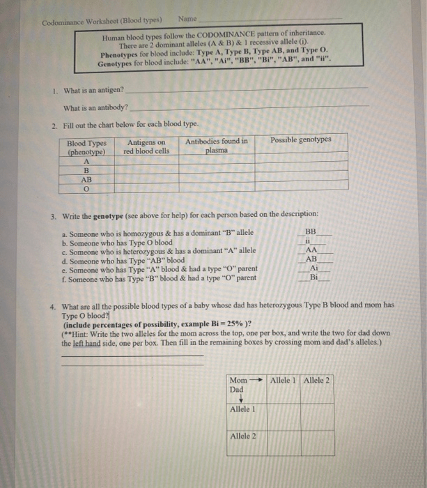 Solved Codominance Worksheet Blood Types Name Human Blood Types