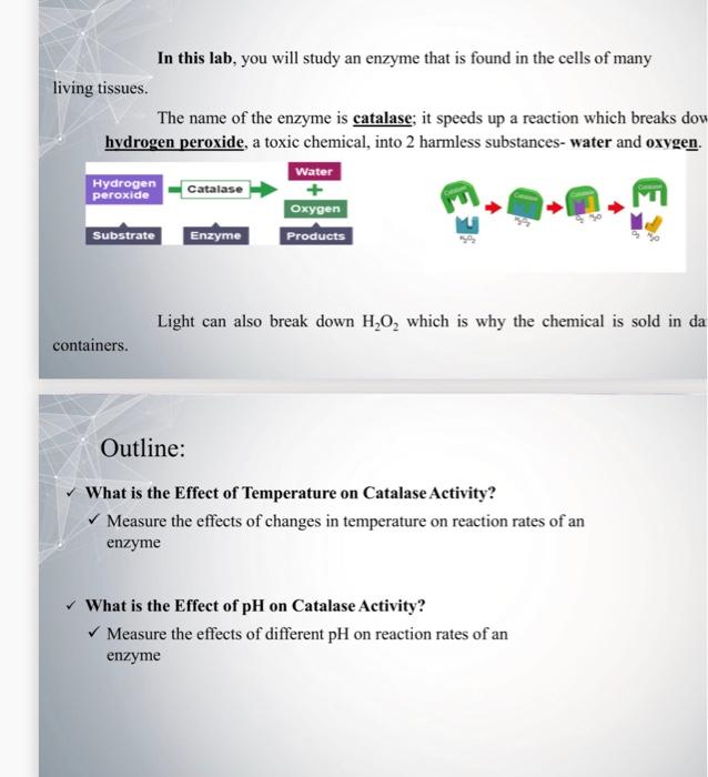 Solved Part 1 What Is The Effect Of Temperature On Catalase Chegg Com