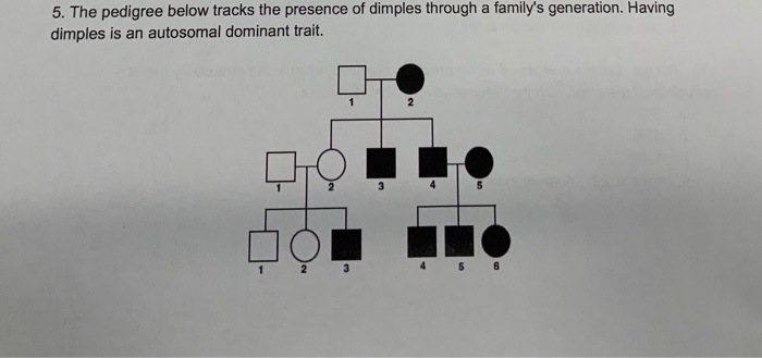 Solved The Pedigree Below Tracks The Presence Of Dimples Chegg Com