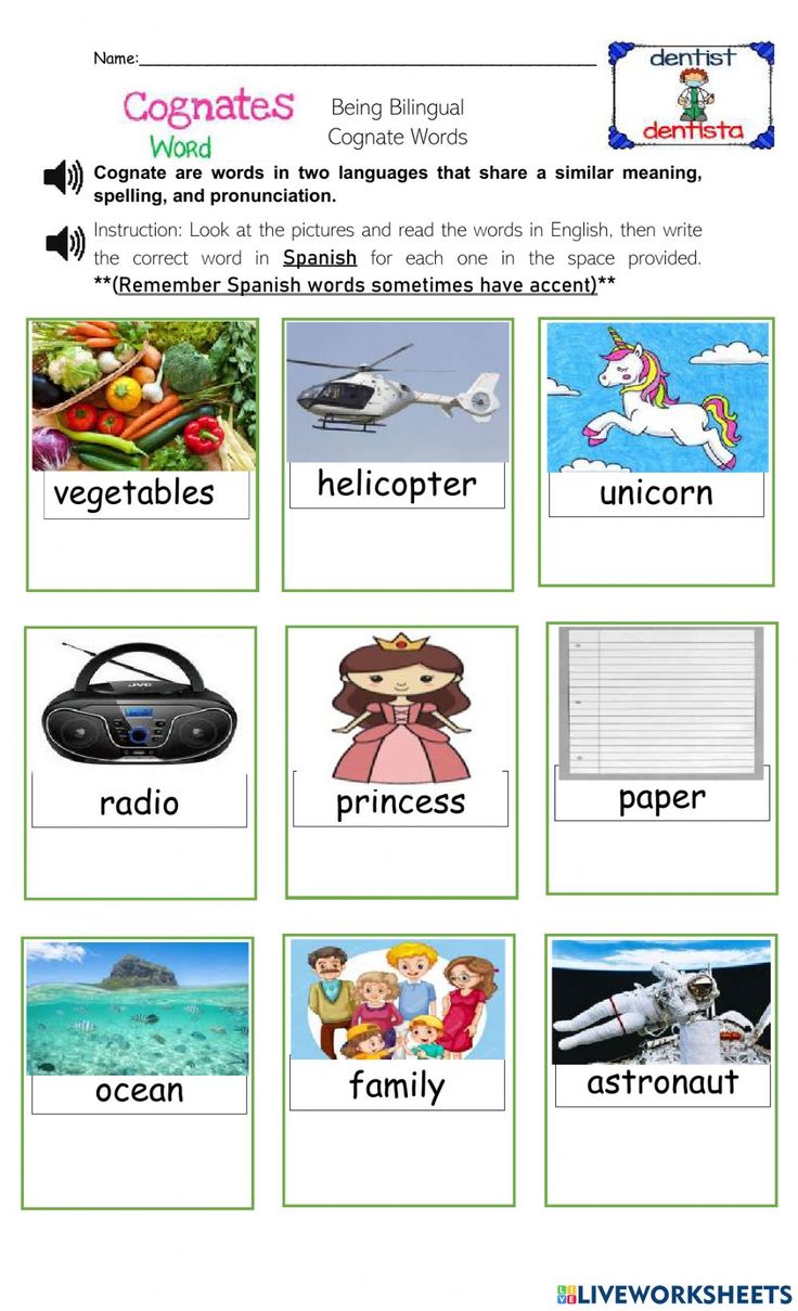 Spanish English Cognates Cognados Introductory Worksheet By Christina