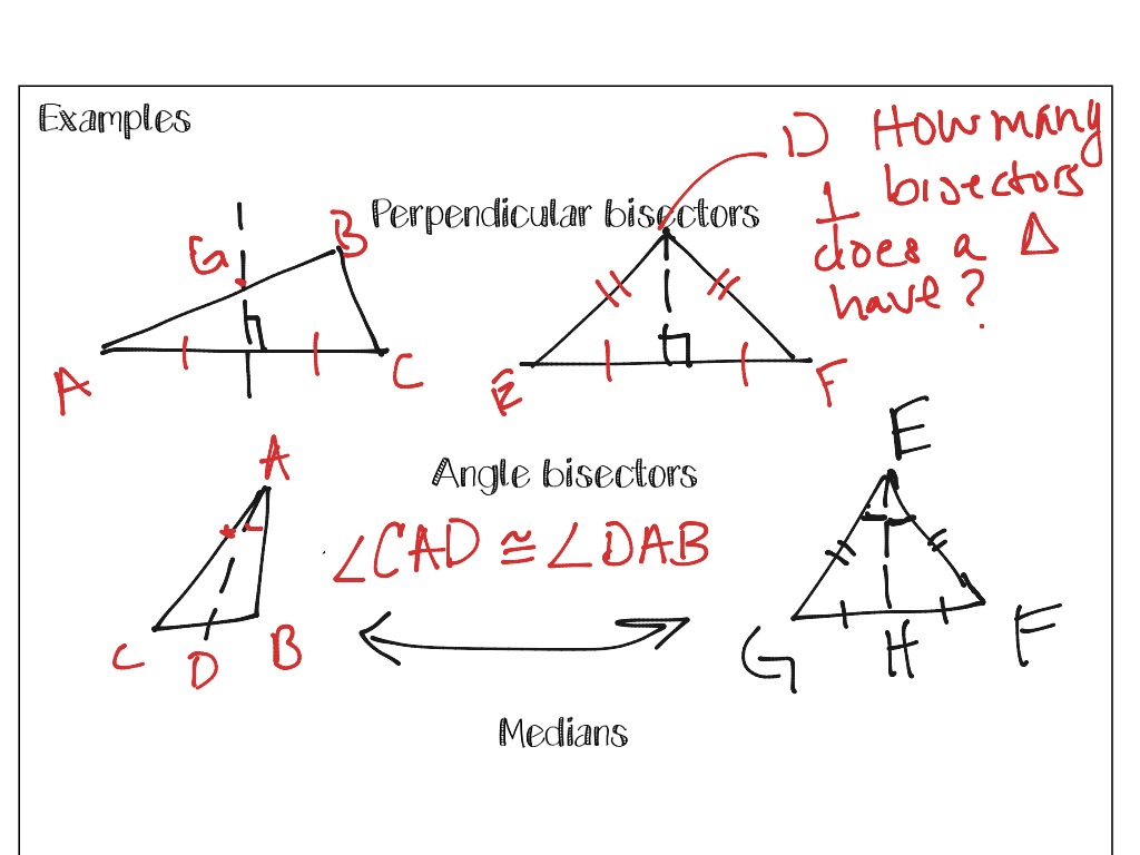 Special Segments In Triangles Diagram Quizlet