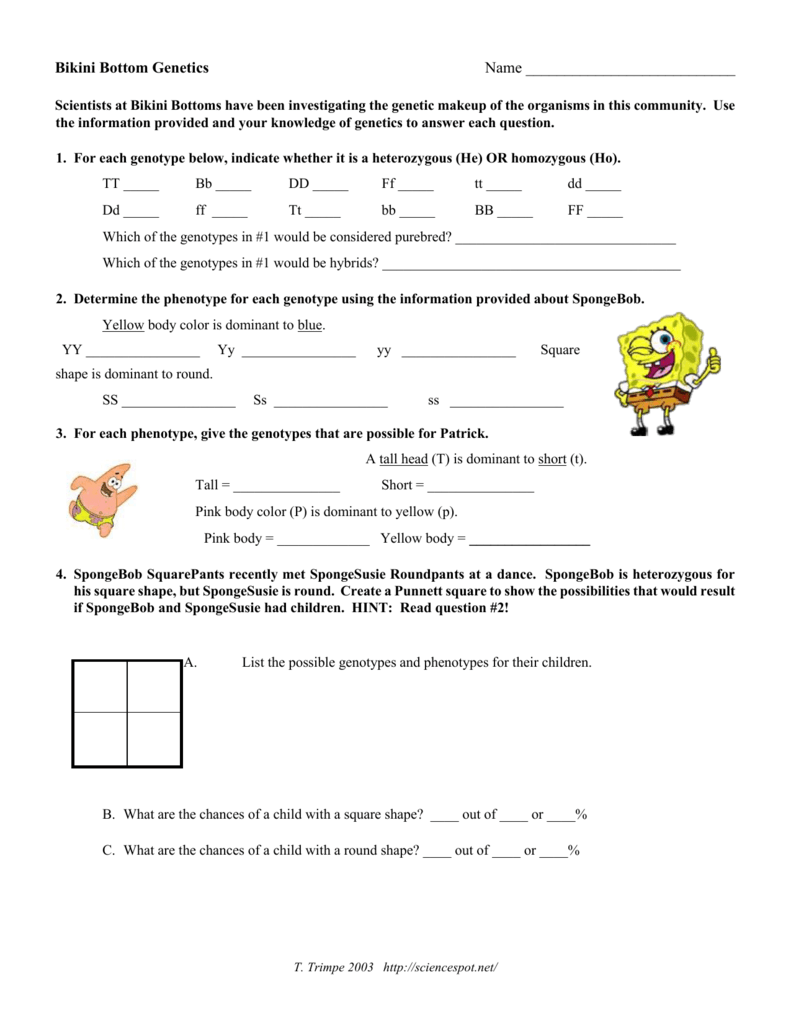 Spongebob Genetics 2 Quiz Answer Key Athens Mutual Student Corner