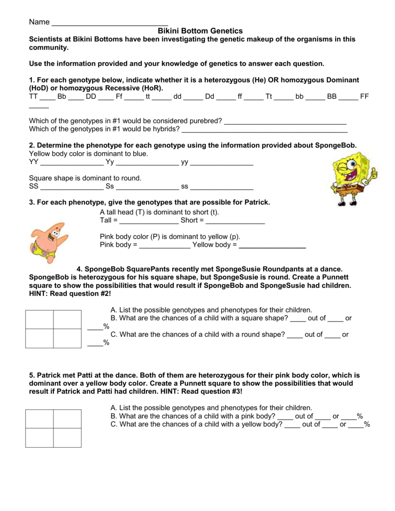 Spongebob Genetics Quiz